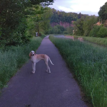 Casa de Férias Chez Alain *