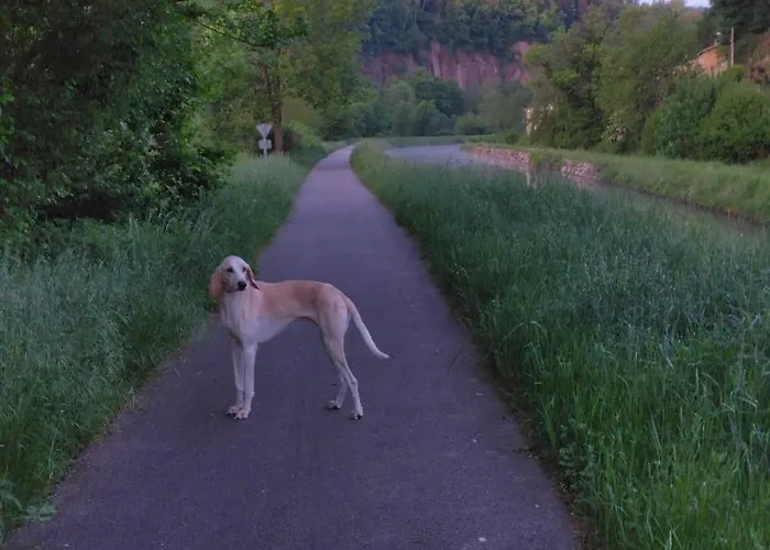 度假居 Chez Alain *